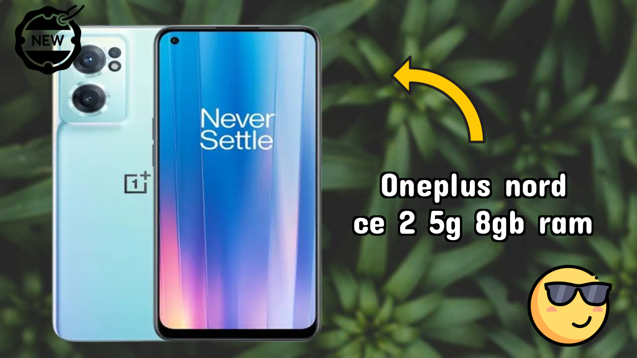 OnePlus Nord CE 2 5G 8GB RAM Display Size: 6.43 Inches (16.33 Cm) Screen Quality