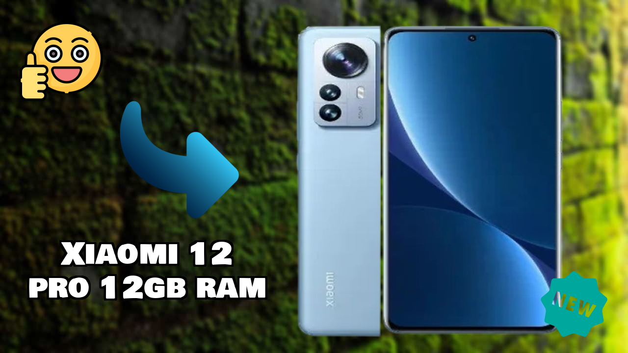 Xiaomi 12 Pro 12GB RAM Camera Samples: 50 MP + 50 MP + 50 MP Rear Camera Real Photos